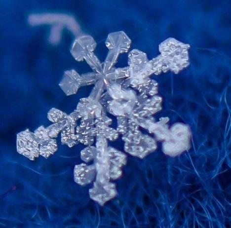 Конкурс зимних фотографий «Зимушка-зима»