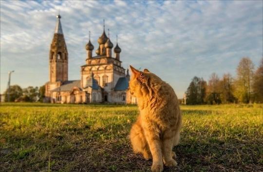 В Ивановской области запустили новый спецпроект